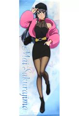 [중고] 태피스트리(대형) 사쿠라지마 마이 신작 등신대 태피스트리 [청춘 돼지 놈은 토끼 소녀 선배의 꿈을 꾸지 않는 × 돈 키호테]
