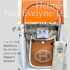NEW！ ネオ　エブリン16 最高に美しい色の組み合わせ　別格Bag