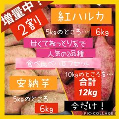 【お得!!】箱込み12kg 安納芋と紅はるか ハーフset【栽培期間農薬不使用】