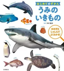 【中古】単行本(実用) ≪実用・工作・趣味≫ はじめてのずかん うみのいきもの
