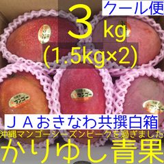 沖縄県産 ミニマンゴーＢ品 約３kg【常温便】② 沖縄県産ミニマンゴー2kg 16〜32個入 送料無料 ご家庭用 ギフト