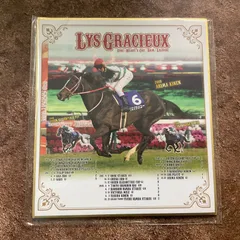 ドゥラメンテ　騎手の箔押しサイン入りミニ色紙 デアリングタクト】レア！金色箔押しサイン入り - メルカリ