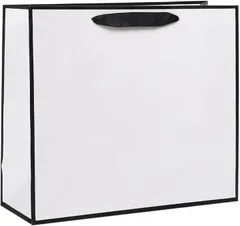 Noalife 紙袋 手提げ袋 ギフトバッグ 厚手タイプ 再利用可能 丈夫 クラフトバッグ 無地 特大紙袋 結婚式 包装 パーティー 誕生日(ホワイト,  20枚セット)