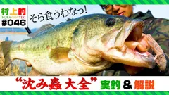 沈み蟲 2.6in 5pcs #56 シナモンブルーフレーク 細かく動く脚を三対付けたイモ虫ワーム系ボディ!!　一誠 【イッセイ】