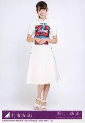 【中古】生写真(乃木坂46) 33：阪口珠美/CD「帰り道は遠回りしたくなる Type-D」(SRCL-9980-1)封入特典