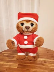 ファーリアル　こぐまのカビー　美品　廃盤品 廃盤品 レア ファーリアル こぐまのカビー 動作確認済