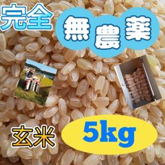 農薬不使用  化学肥料不使用  自然農法  自然栽培米  特別栽培米  新米  玄米