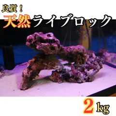 【送料無料】人工ライブロック　PHR22／15穴加工　アク抜き済み安心塗料使用 耐震パーフェクトロック開き扉用 PF-023 | 家財保護用品 通販