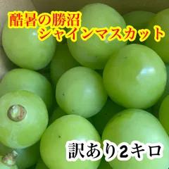 2026年最新】シャインマスカットの人気アイテム - メルカリ