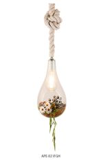 BOTANIC Hanging Light M (FGH)