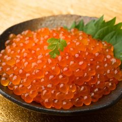 大量1Kg！北海道産いくら醤油漬け完全冷凍加工品 業務箱】北海道産いくら