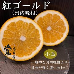 愛媛産　紅ゴールド　河内晩柑　小玉　家庭用9kg