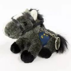 【中古】キーホルダー セイウンスカイ(第59回 菊花賞) 5Sキーホルダー 「レースホースシリーズ」