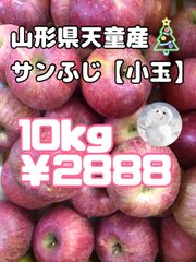 りんご山形県天童産【サンふじ】【小玉chan】