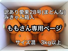 愛果28号(まどんな)