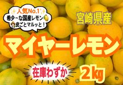 【大特価】マイヤーレモン2㎏/レモン　国産レモン　みかん　きんかん　果物