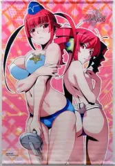 【中古】タペストリー ユン＆ループ B2タペストリー 「Xbox 360ソフト バレットソウル -インフィニットバースト-」 ソフマップ購入特典