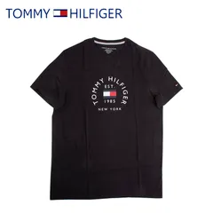 トミーヒルフィガー TOMMY HILFIGER Tシャツ フロント ロゴ 半袖 メンズ 丸首 おしゃれ トップス 78j8874
