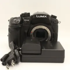 2025年最新】GH4 lumixの人気アイテム - メルカリ