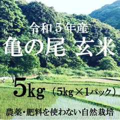 2024年最新】論田石の人気アイテム - メルカリ