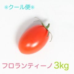 【甘い高級トマト】高糖度フルーツミニトマト　フロランティーノ3kg［クール便］