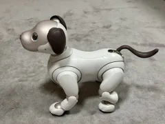 【里親募集】SONY aibo アイボ ERS-1000(現在♂） 20180718103403_928_.jpg
