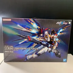 2025年最新】pg ストライクフリーダムの人気アイテム - メルカリ