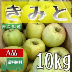 青森県産 ＂ きみと ＂ りんご【ご家庭用A品10kg】【送料無料】【産地直送】リンゴ 林檎