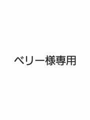 エゾ鹿肉ジャーキー200ｇ(100ｇ×2袋)無添加犬猫用おやつ