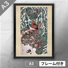 伊藤若冲　「雪中錦鶏図」　日本画ポスター　A3　マット　その25　【フレーム付】《JP》