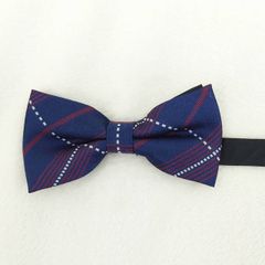 17.蝶ネクタイ　ネイビーブルー　結婚式　タキシード