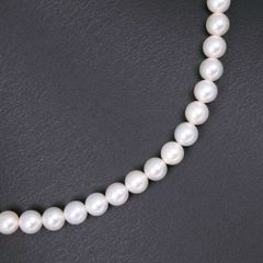 真珠 6.0～6.3ｍｍ パール×シルバー レディース ネックレス