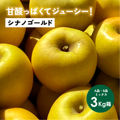 発送中「シナノゴールド3キロ箱A品B品」 農林水産大臣賞 りんご 長野県産 安曇野 信州産 産地直送