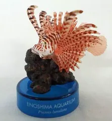 【中古】トレーディングフィギュア ミノカサゴ 「新江ノ島水族館立体生物図録」