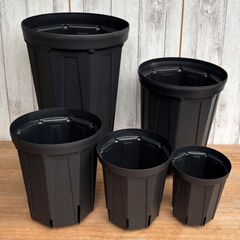 春の植替えに。根っこつよし 9号、8号、7号 とリキダス800mlセット