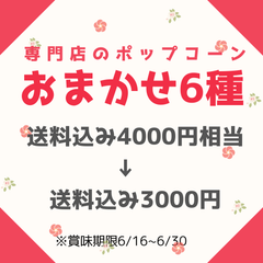 訳あり アウトレット ポップコーン フレーバー 6種 国産 御中元 スイーツ ギフト お返し 御礼 お祝い プレゼント 手土産 差し入れ おしゃれ 高級 お菓子
