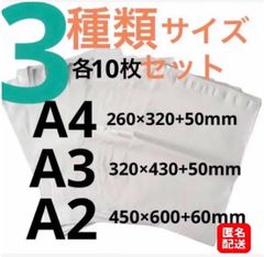 【匿名配送】LDPE宅配袋ビニール袋 a4 a3 a2強力テープ付き3種類各10枚セット