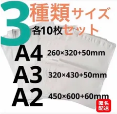 2024年最新】大きい袋a2の人気アイテム - メルカリ