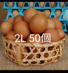 けんちゃん赤卵2Lサイズ50個　　たまご　朝採れ　玉子　青森県産
