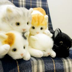 REAL ANIMALリアルアニマル 猫つまんでぬいぐるみ4体セット シャムミケ