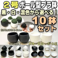 2号ボール型プラ鉢(陶器風の上品な質感)で白・黒・混合を選べる10鉢セット＊セントポーリア・多肉植物・塊根植物コーデックス・アガベ・サボテン・盆栽・観葉・ハオルチア・アデニウム・パキポディウム＠フラワーショップ江口のサムネイル