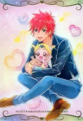 【中古】アニメ系トレカ No.17[N]：はぐたん＆ハリハム・ハリー