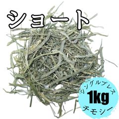 Item thumbnail for item bf532ceb-e6dd-4526-9b61-e1fb5b5371a0