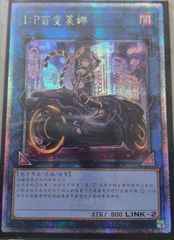 遊戯王、、繁体字、中国版、恐牙狼ダイヤウルフ、シークレットレア