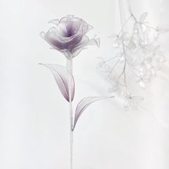 【単品販売】薔薇（パールパープル）