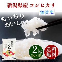 新潟県産 コシヒカリ 無洗米 2kg お米 2キロ 新米