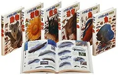 2025年最新】図鑑neo dvdのみの人気アイテム - メルカリ
