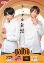 【中古】クリアファイル(男性アイドル) 中島健人＆菊池風磨(Sexy Zone(timelesz)) A4クリアファイル 明治ガルボキャンペーン ローソン購入特典