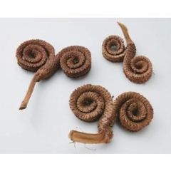 Item thumbnail for item ab256a91-b752-4fe2-8e26-ad9be00c0638