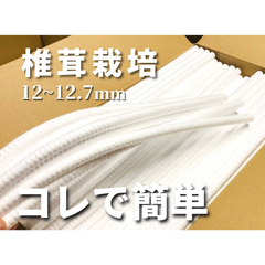 【限定品！】椎茸栽培 発泡スチロール栓 12~12.7mm 20,000個入